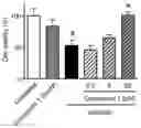Fig. 01 - THERAPEUTIC OR PROPHYLACTIC AGENT FOR PERIPHERAL NEUROPATHIES