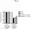 Fig. 06 - THERAPEUTIC OR PROPHYLACTIC AGENT FOR PERIPHERAL NEUROPATHIES