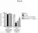 Fig. 07 - THERAPEUTIC OR PROPHYLACTIC AGENT FOR PERIPHERAL NEUROPATHIES