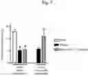 Fig. 08 - THERAPEUTIC OR PROPHYLACTIC AGENT FOR PERIPHERAL NEUROPATHIES