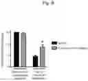 Fig. 09 - THERAPEUTIC OR PROPHYLACTIC AGENT FOR PERIPHERAL NEUROPATHIES