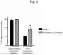 Fig. 10 - THERAPEUTIC OR PROPHYLACTIC AGENT FOR PERIPHERAL NEUROPATHIES