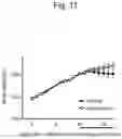 Fig. 12 - THERAPEUTIC OR PROPHYLACTIC AGENT FOR PERIPHERAL NEUROPATHIES