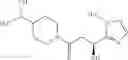 Fig. 41 - THERAPEUTIC OR PROPHYLACTIC AGENT FOR PERIPHERAL NEUROPATHIES