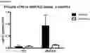Fig. 03 - Compositions and Methods of Treating Muscular Dystrophy with Thromboxane-A2 Receptor Antagonists