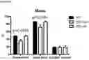 Fig. 04 - Compositions and Methods of Treating Muscular Dystrophy with Thromboxane-A2 Receptor Antagonists