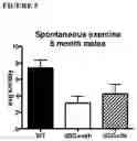 Fig. 06 - Compositions and Methods of Treating Muscular Dystrophy with Thromboxane-A2 Receptor Antagonists