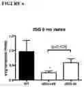 Fig. 07 - Compositions and Methods of Treating Muscular Dystrophy with Thromboxane-A2 Receptor Antagonists