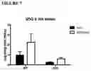 Fig. 08 - Compositions and Methods of Treating Muscular Dystrophy with Thromboxane-A2 Receptor Antagonists