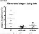 Fig. 09 - Compositions and Methods of Treating Muscular Dystrophy with Thromboxane-A2 Receptor Antagonists