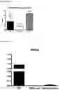 Fig. 16 - Compositions and Methods of Treating Muscular Dystrophy with Thromboxane-A2 Receptor Antagonists
