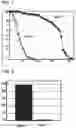 Fig. 02 - COMBINATION OF IBUDILAST AND RILUZOLE AND METHODS OF USING SAME