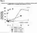 Fig. 04 - METHOD OF TREATMENT WITH TRADIPITANT