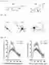 Fig. 02 - COMPOUNDS FOR INCREASING NEURAL PLASTICITY