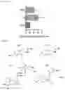Fig. 04 - COMPOUNDS FOR INCREASING NEURAL PLASTICITY