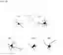 Fig. 05 - COMPOUNDS FOR INCREASING NEURAL PLASTICITY