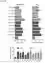 Fig. 09 - COMPOUNDS FOR INCREASING NEURAL PLASTICITY