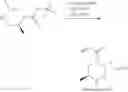 Fig. 37 - KRAS G12C inhibitors and methods of using the same