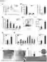 Fig. 04 - Stimulating platelet generation by activating mitochondrial biogenesis