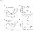 Fig. 07 - Stimulating platelet generation by activating mitochondrial biogenesis