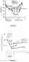 Fig. 10 - Stimulating platelet generation by activating mitochondrial biogenesis