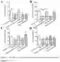 Fig. 05 - Use of vitamin composition in preparing drug for preventing, treating, or delaying Alzheimer's disease