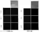 Fig. 09 - Nitric oxide-releasing polyaminoglycosides as biodegradable antibacterial scaffolds and methods pertaining thereto