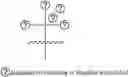 Fig. 111 - A POLYMER NETWORK, METHOD FOR PRODUCTION, AND USES THEREOF