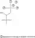 Fig. 129 - A POLYMER NETWORK, METHOD FOR PRODUCTION, AND USES THEREOF