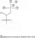 Fig. 130 - A POLYMER NETWORK, METHOD FOR PRODUCTION, AND USES THEREOF