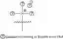 Fig. 137 - A POLYMER NETWORK, METHOD FOR PRODUCTION, AND USES THEREOF