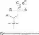 Fig. 147 - A POLYMER NETWORK, METHOD FOR PRODUCTION, AND USES THEREOF