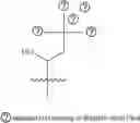 Fig. 151 - A POLYMER NETWORK, METHOD FOR PRODUCTION, AND USES THEREOF