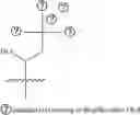 Fig. 158 - A POLYMER NETWORK, METHOD FOR PRODUCTION, AND USES THEREOF