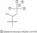 Fig. 161 - A POLYMER NETWORK, METHOD FOR PRODUCTION, AND USES THEREOF