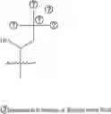 Fig. 170 - A POLYMER NETWORK, METHOD FOR PRODUCTION, AND USES THEREOF