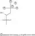 Fig. 172 - A POLYMER NETWORK, METHOD FOR PRODUCTION, AND USES THEREOF
