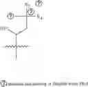 Fig. 181 - A POLYMER NETWORK, METHOD FOR PRODUCTION, AND USES THEREOF