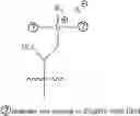 Fig. 183 - A POLYMER NETWORK, METHOD FOR PRODUCTION, AND USES THEREOF