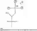 Fig. 187 - A POLYMER NETWORK, METHOD FOR PRODUCTION, AND USES THEREOF