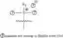 Fig. 192 - A POLYMER NETWORK, METHOD FOR PRODUCTION, AND USES THEREOF
