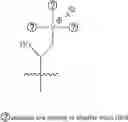 Fig. 20 - A POLYMER NETWORK, METHOD FOR PRODUCTION, AND USES THEREOF