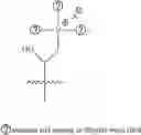 Fig. 210 - A POLYMER NETWORK, METHOD FOR PRODUCTION, AND USES THEREOF