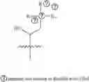 Fig. 26 - A POLYMER NETWORK, METHOD FOR PRODUCTION, AND USES THEREOF