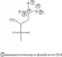 Fig. 33 - A POLYMER NETWORK, METHOD FOR PRODUCTION, AND USES THEREOF