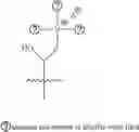 Fig. 43 - A POLYMER NETWORK, METHOD FOR PRODUCTION, AND USES THEREOF