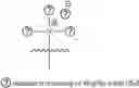 Fig. 74 - A POLYMER NETWORK, METHOD FOR PRODUCTION, AND USES THEREOF
