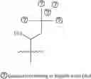 Fig. 86 - A POLYMER NETWORK, METHOD FOR PRODUCTION, AND USES THEREOF