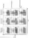 Fig. 09 - Modified Immune-Modulating Particles