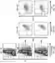 Fig. 16 - Modified Immune-Modulating Particles
